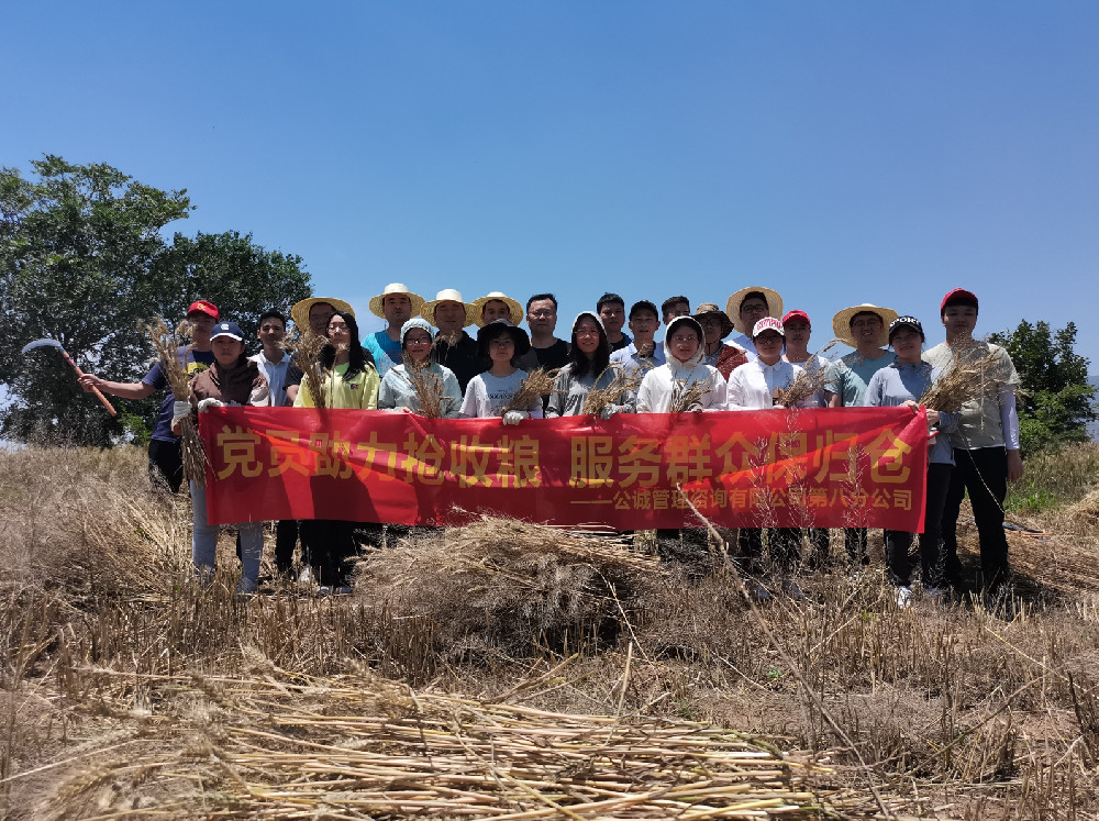 党员助力抢收粮，服务群众保归仓——304am永利集团咨询公司号召党员为群众办实事，助力陕西桥陵镇农户“夏粮”抢收